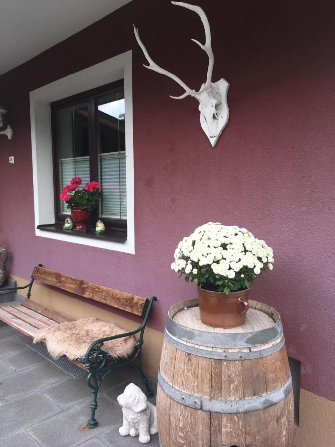 Haus Gsenger Apartment Abtenau Exterior photo
